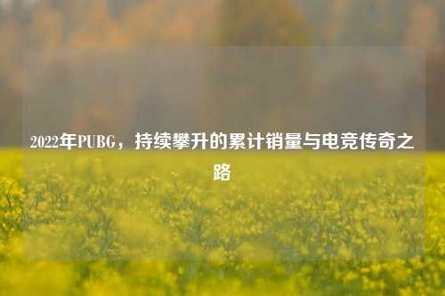 2022年PUBG，持续攀升的累计销量与电竞传奇之路