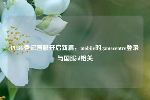 PUBG登记国服开启新篇，mobile的gamecentre登录与国服id相关