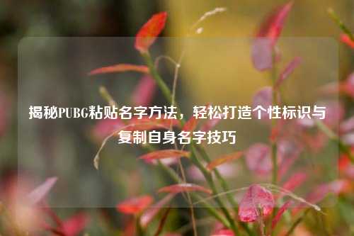 揭秘PUBG粘贴名字方法，轻松打造个性标识与复制自身名字技巧