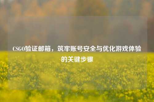 CSGO验证邮箱,筑牢账号安全与优化游戏体验的关键步骤