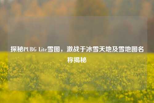 探秘PUBG Lite雪图,激战于冰雪天地及雪地图名称揭秘