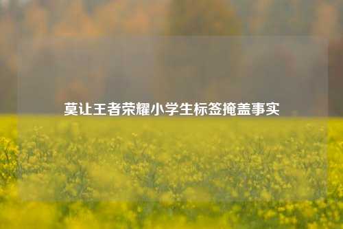 莫让王者荣耀小学生标签掩盖事实