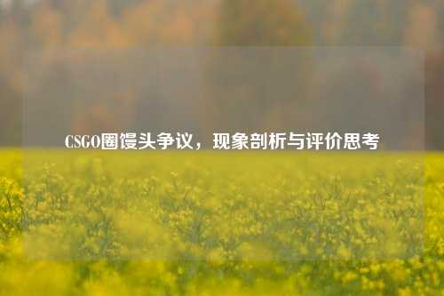 CSGO圈馒头争议,现象剖析与评价思考