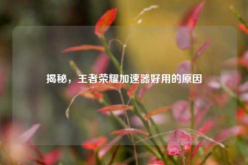 揭秘,王者荣耀加速器好用的原因