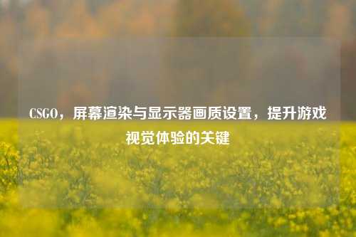 CSGO，屏幕渲染与显示器画质设置，提升游戏视觉体验的关键