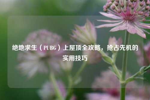 绝地求生（PUBG）上屋顶全攻略，抢占先机的实用技巧