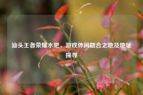 汕头王者荣耀水吧,游戏休闲融合之地及地址探寻