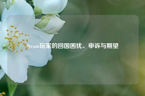 Steam玩家的回国困扰、申诉与期望
