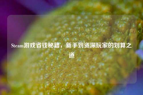 Steam游戏省钱秘籍,新手到资深玩家的划算之道