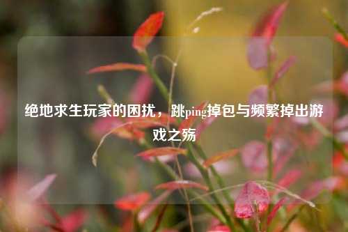 绝地求生玩家的困扰，跳ping掉包与频繁掉出游戏之殇
