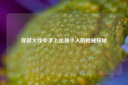 穿越火线中手上出现小人的枪械探秘