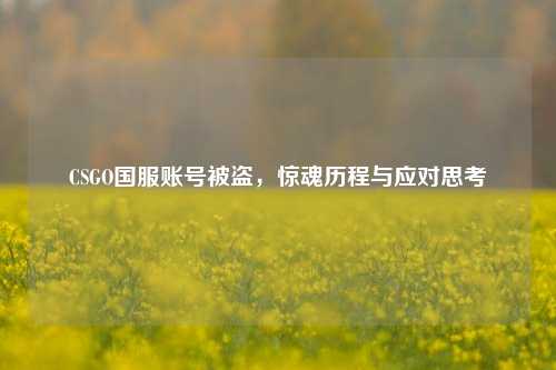 CSGO国服账号被盗，惊魂历程与应对思考