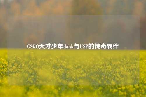 CSGO天才少年donk与USP的传奇羁绊