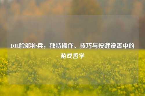 LOL脸部补兵,独特操作、技巧与按键设置中的游戏哲学