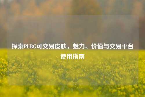 探索PUBG可交易皮肤,魅力、价值与交易平台使用指南