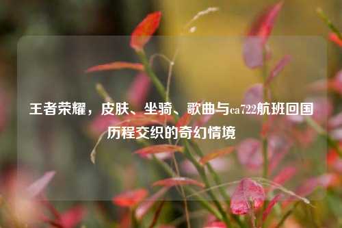王者荣耀,皮肤、坐骑、歌曲与ca722航班回国历程交织的奇幻情境