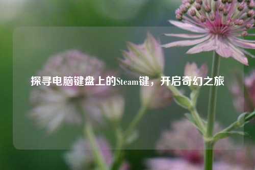 探寻电脑键盘上的Steam键,开启奇幻之旅