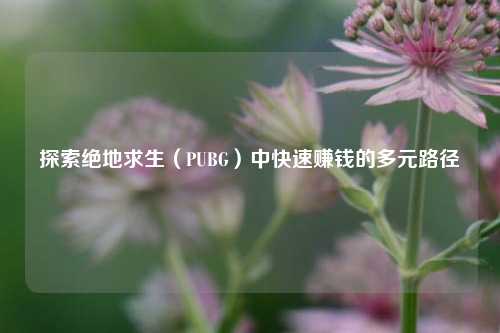 探索绝地求生(PUBG)中快速赚钱的多元路径