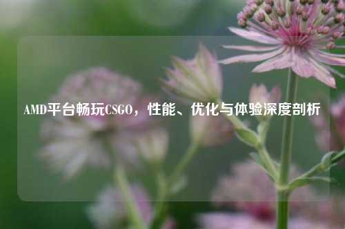 AMD平台畅玩CSGO，性能、优化与体验深度剖析