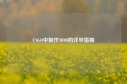 CSGO中制作MOD的详尽指南