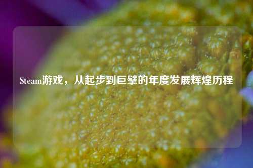 Steam游戏,从起步到巨擘的年度发展辉煌历程