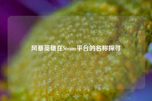 风暴英雄在Steam平台的名称探寻