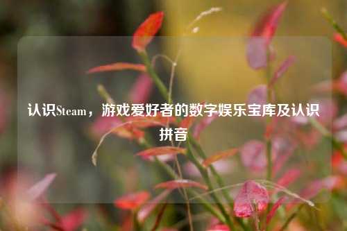 认识Steam,游戏爱好者的数字娱乐宝库及认识拼音