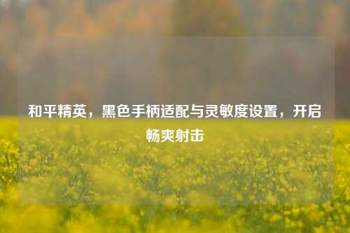 和平精英,黑色手柄适配与灵敏度设置,开启畅爽射击
