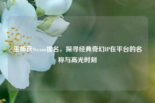巫师获Steam提名,探寻经典奇幻IP在平台的名称与高光时刻