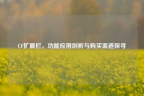 CF扩展栏，功能应用剖析与购买渠道探寻