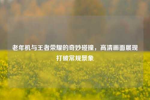 老年机与王者荣耀的奇妙碰撞,高清画面展现打破常规景象