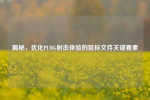 揭秘，优化PUBG射击体验的鼠标文件关键要素