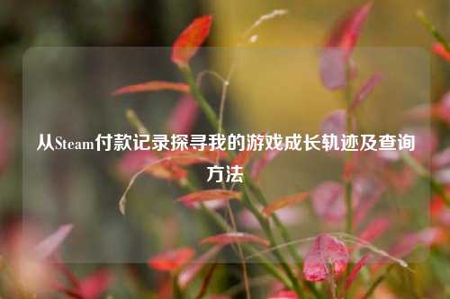 从Steam付款记录探寻我的游戏成长轨迹及查询方法