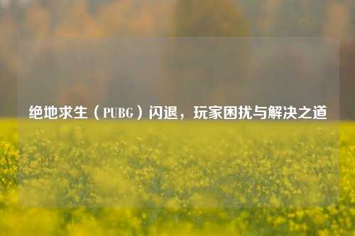 绝地求生（PUBG）闪退，玩家困扰与解决之道
