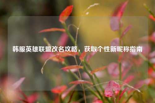 韩服英雄联盟改名攻略，获取个性新昵称指南