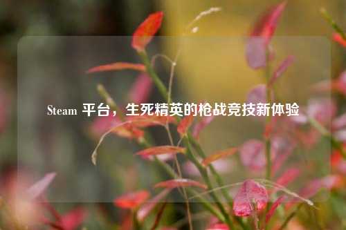Steam 平台,生死精英的枪战竞技新体验
