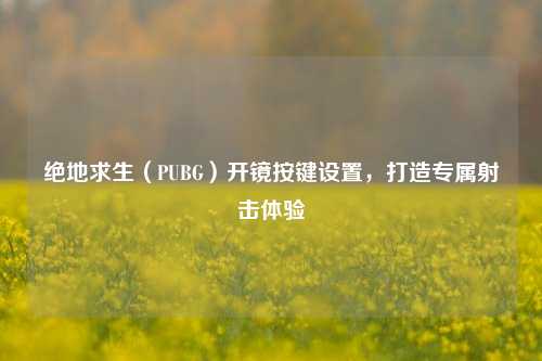 绝地求生(PUBG)开镜按键设置,打造专属射击体验