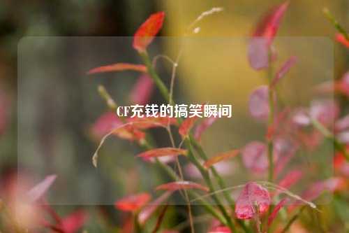 CF充钱的搞笑瞬间