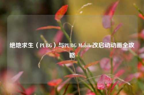 绝地求生(PUBG)与PUBG Mobile改启动动画全攻略