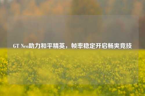 GT Neo助力和平精英，帧率稳定开启畅爽竞技