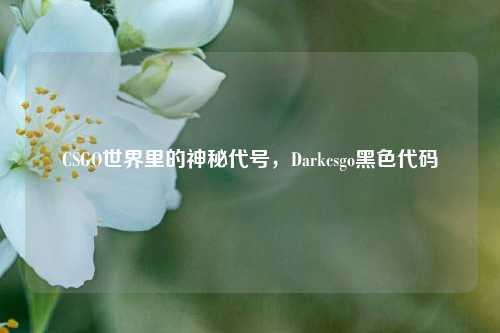 CSGO世界里的神秘代号，Darkcsgo黑色代码