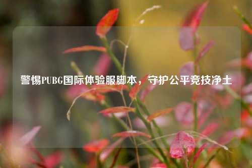警惕PUBG国际体验服脚本，守护公平竞技净土