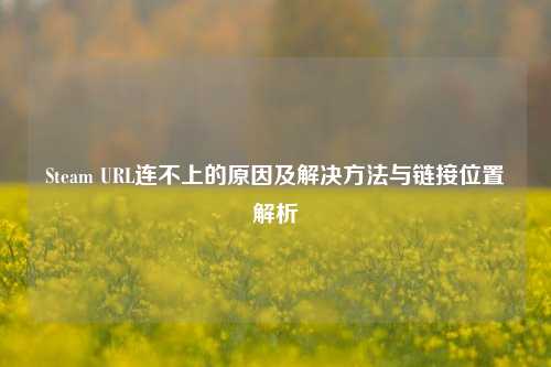 Steam URL连不上的原因及解决方法与链接位置解析
