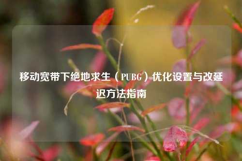移动宽带下绝地求生(PUBG)优化设置与改延迟方法指南