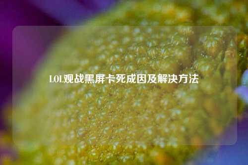 LOL观战黑屏卡死成因及解决方法