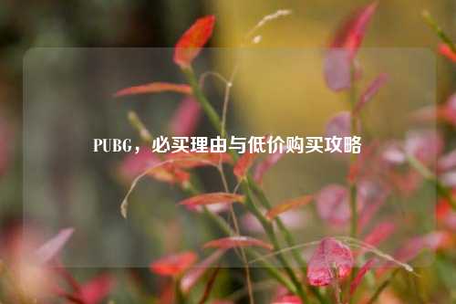 PUBG，必买理由与低价购买攻略