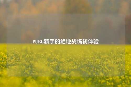PUBG新手的绝地战场初体验