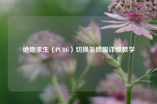 绝地求生(PUBG)切换至欧服详细教学