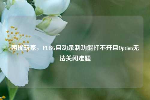 困扰玩家,PUBG自动录制功能打不开且Option无法关闭难题