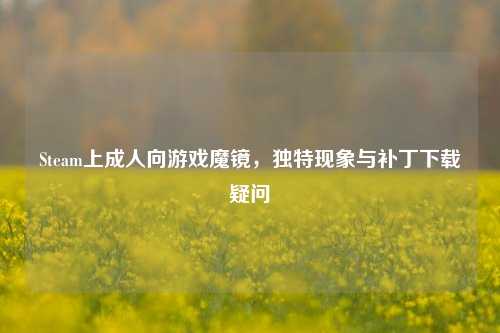Steam上成人向游戏魔镜,独特现象与补丁下载疑问